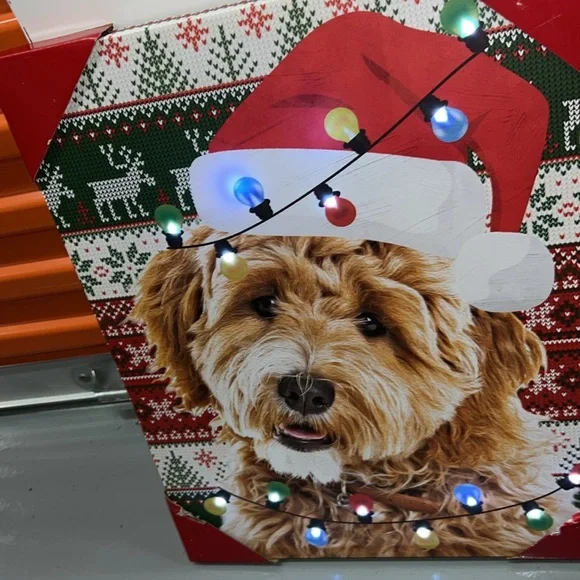 BNWT Adorable Golden Doodle Dog Canvas Art with LED lights - Picture 2 of 4